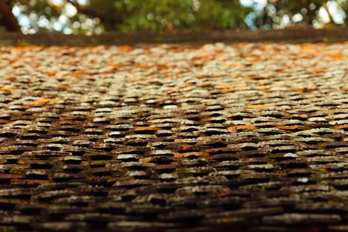 Roof Leak Repair in Melbourne, FL
